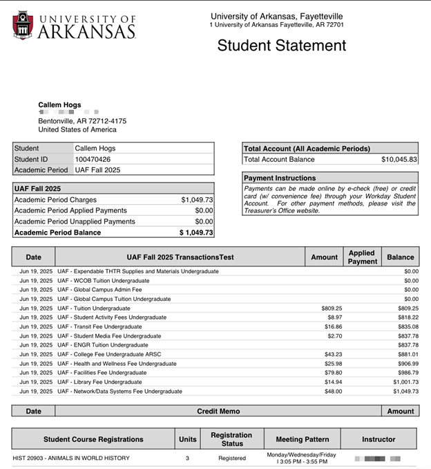 Example of an Account Statement...